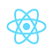 Customized App Development