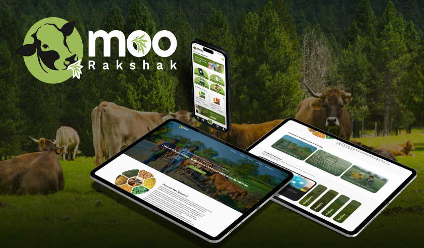 app-strategy